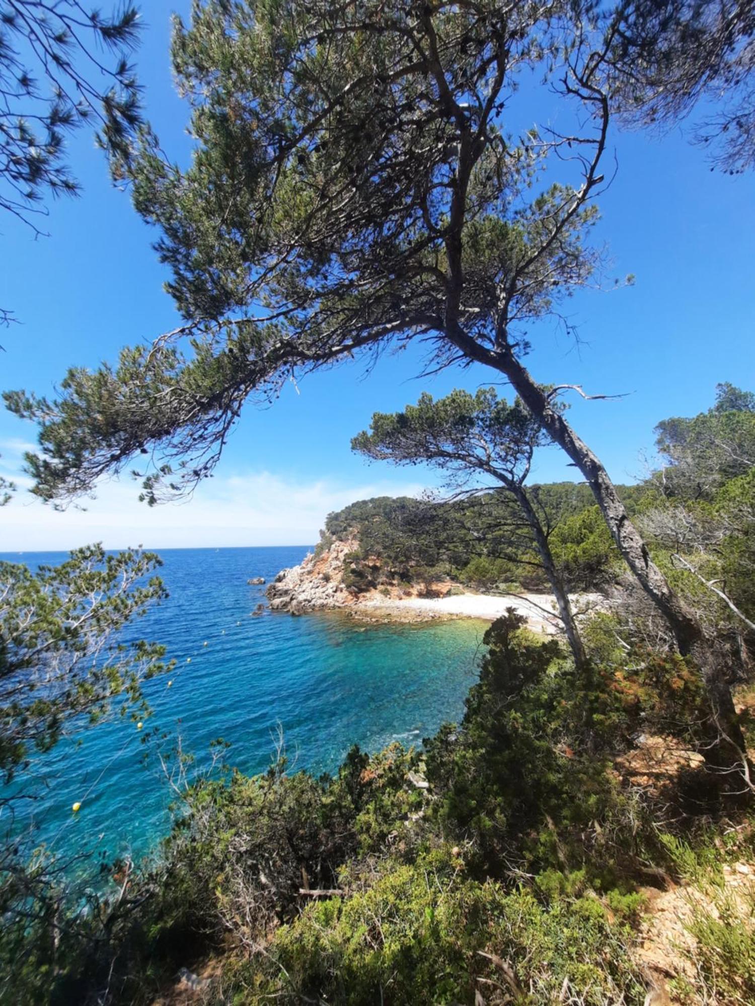 Maisonnette charmante avec piscine privative La Garde  Esterno foto
